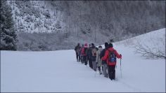 Cesta zimním údolí