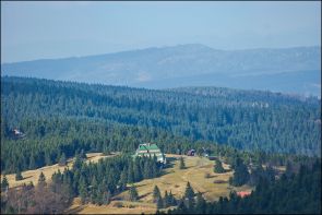 Šerlich