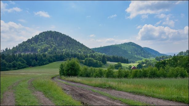 Waligora
