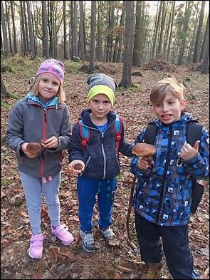 Děti na&nbsp;vycházce